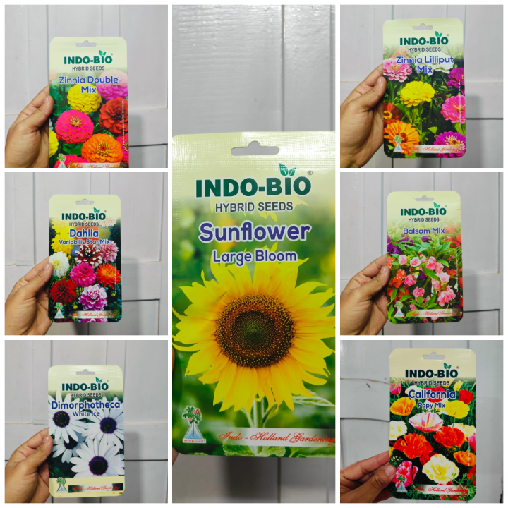 1 Packet All-Season, All-Time Flower Seeds: A Beautiful Collection for ...
