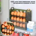 Plastic Kitchen Storage Refrigerator Side Door Preservation Box Egg Storage Storage Box Egg Box Egg Tray. 