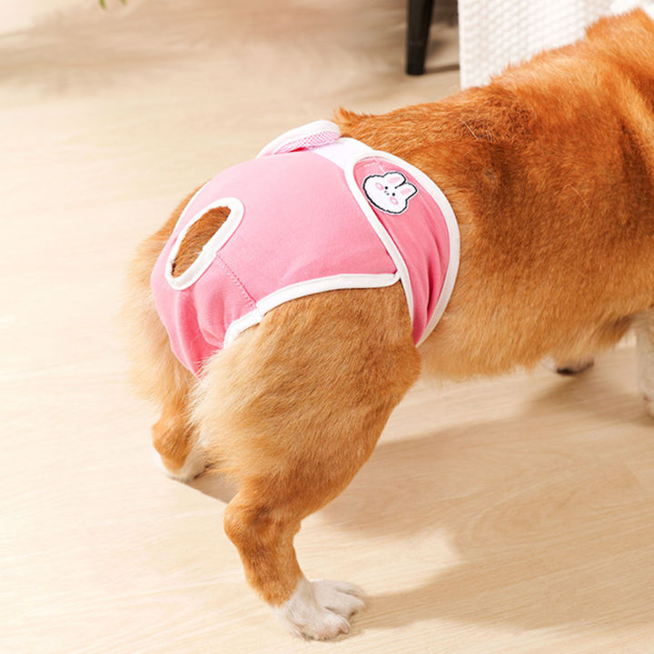 DESCENTE%20Dog%20Diaper%20for%20Female%20Dogs%20Breathable%20Dog%20Diapers%20for%20Small%20Medium%20Dogs%20Pet%20Menstrual%20Pants%20Period%20Pads%20Underwear%20Female%20Dog%20Sanitary%20-%20Image%203