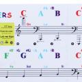 Multicolor for Beginners 88Keys for White Keys Sticker Symbol Electronic Keyboard Key Piano Stave Note Keys Sticker Piano Keyboard Stickers Note Sticker. 