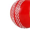 ActiveU Rubber Synthetic Cricket Ball i10 Cricket Synthetic Ball, Best Practice Poly Hard Balls - Indoor & Outdoor Training (PACK OF 1). 