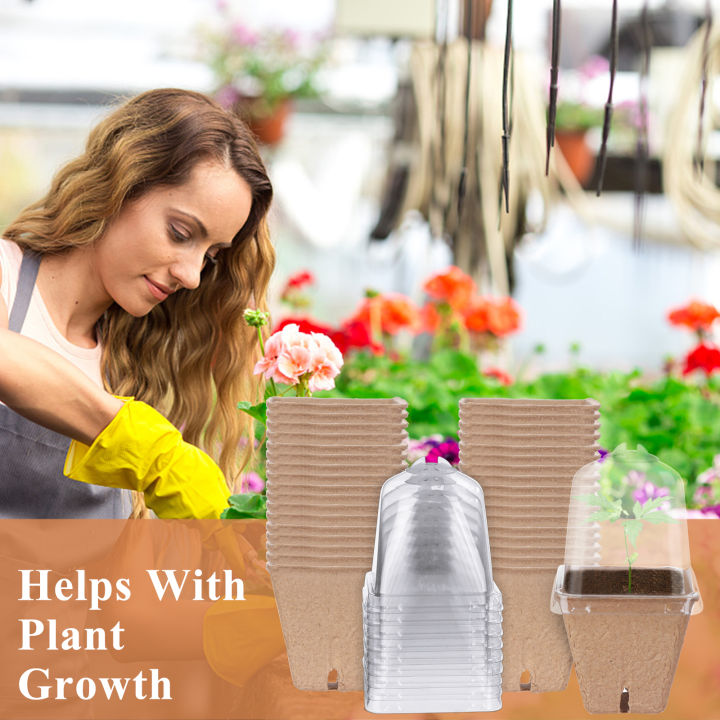 Haishell%2010%20Pack%20Seeding%20Starter%20Pots%20Biodegradable%20Fibre%20Paper%20Nursery%20Pots%20With%20Humidity%20Dome%20Compostable%20Peat%20Seed%20Plant%20Pots%20Demoo%20-%20Image%205