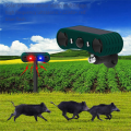 Upgraded Solar Alarm Animal Repeller Infrared Sensor Sound and Light Alarm to Scare Wild Boars and Expel Weasels. 
