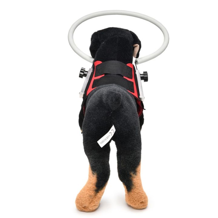 Kqueebee%20Blind%20Dog%20Harness%20Guiding%20Device,Blind%20Dog%20,Pet%20Anti-Collision%20Ring%20for%20Build%20Confidence,Blind%20Dog%20Accessories%20-%20Image%203