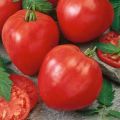 1 Packet Tomato Heirloom OXHeart Vegetable seeds By Praman Stores. 