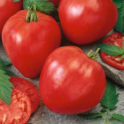 1%20Packet%20Tomato%20Heirloom%20OXHeart%20Vegetable%20seeds%20By%20Praman%20Stores%20-%20Image%203