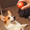 Durable Automatic Moving Dog Toy Ball Bouncing Rolling USB Rechargeable Self-moving Balls Rubber Electric Dog Ball Dog. 