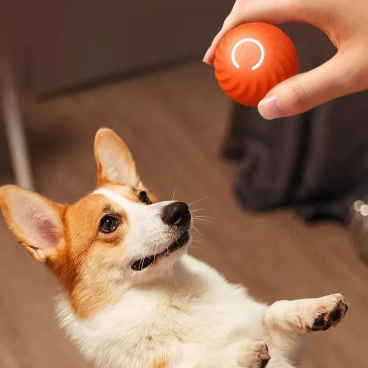 Durable%20Automatic%20Moving%20Dog%20Toy%20Ball%20Bouncing%20Rolling%20USB%20Rechargeable%20Self-moving%20Balls%20Rubber%20Electric%20Dog%20Ball%20Dog%20-%20Image%203