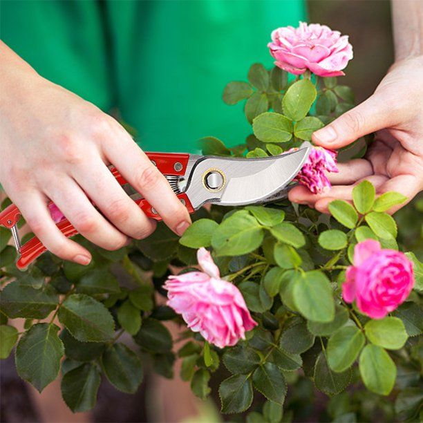 Gardening%20Scissors%20for%20Garden%20Cutting%20Tools%20Pruning%20Shears%20with%20Metal%20Handel%20-%20Image%207
