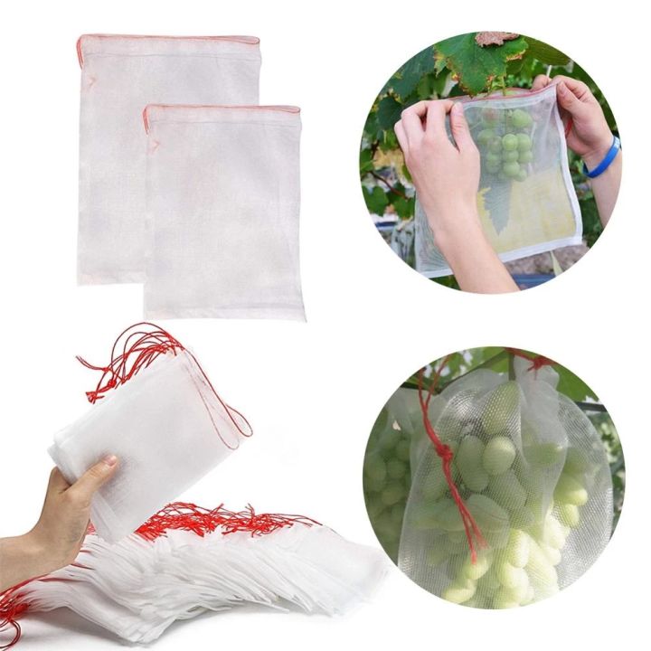 Garden%20Netting%20Bags%20Grapes%20Fruit%20Protection%20Bag%20Agricultural%20Pest%20Control%20Anti-Bird%20Mesh%20Grape%20Bags-15%20x%2010CM%20-%20Image%206
