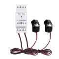 NAMUNY Tuya Smart Life WiFi Energy Meter Bidirectional 2 Channel Din Rail with 120A CT App Monitor Export and Import Power. 