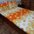 Fresh Pattern Bed Sheet With Pillow Cases. 