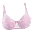 bra lingerie sheer b bra lace padded underwires Sales promotion ladies miniimizer no bra cup push-ups. 