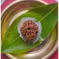 4 Mukhi Rudraksha Small Size Good Luck. 