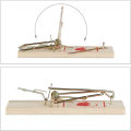 Traditional Wooden Mouse Traps Classic Mice Rat Pet Rodent Control Catch Trap. 