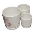 Ceremic Decorative Flower Pot With Combo Pack. 