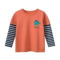 Baby Boy Dino Print Colorblock Long Sleeve Tshirts. 