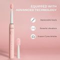beatXP Buzz Electric Toothbrush for Adults with 2 Brush Heads & 3 Cleaning Modes|Rechargeable Electric Toothbrush with 2 Minute Timer. 