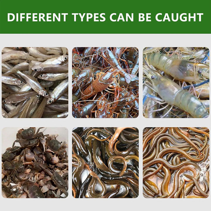 10%20Holes%20Catch%20Loach%20Lobster%20Yellow%20Eel%20Cage%20Mixed%20Fish%20Crayfish%20Catcher%20Outdoor%20Fishing%20Net%20Cage%20Plastic%20Shrimp%20Trap%20Cage%20-%20Image%204