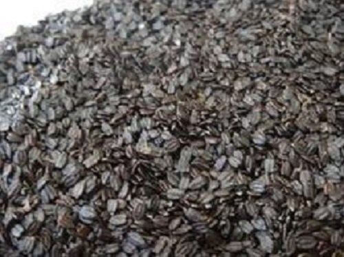 Ban%20Silam%20(%20Himalayan%20Mint%20)%20Seed%20-500Gm%20-%20Image%202