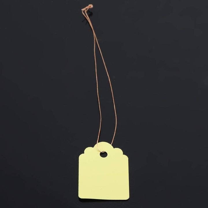 200Pcs%20Plant%20Hanging%20Tag%20Waterproof%20Plastic%20Labels%20Reusable%20Garden%20Markers%20Blank%20Nursery%20Name%20Tags%20with%20Strings%20-%20Image%206