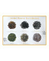 Himalayas Own Himalayan Tea Collection Box | Premium Himalayan Tea Gift Set | 6 Rare High-Altitude Whole Leaf Teas. 