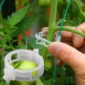 100 Pcs Tomato Clips For Support Tomato Plants. 