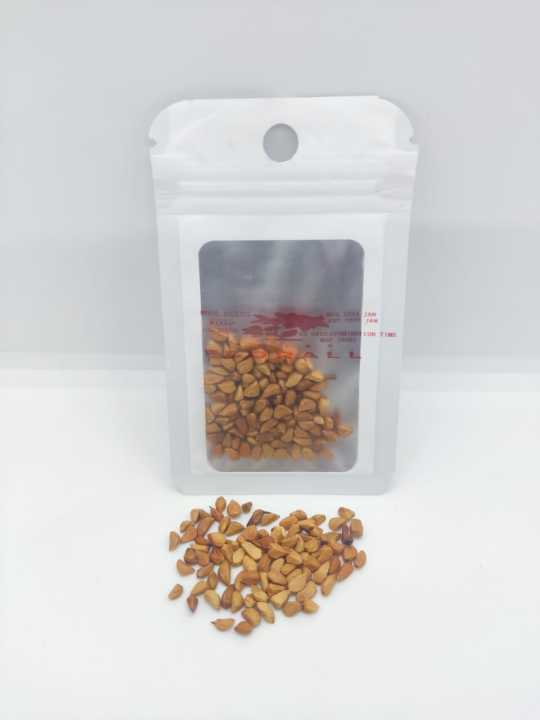 100%20Seeds%20Of%20mixed%2010%20types%20Rose%20Seeds%20-%20Image%204
