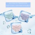 6Pcs/lot Seamless Panty Set Underwear Ice Slik Underwear For Women. 