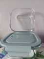 1Pcs Oven Safe Breakage Scratch Proof Borosilicate Glass Lunch Box With Air Tight Lid 800ml. 