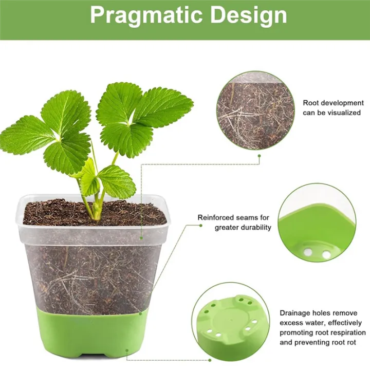 12%20Packs%203%20Inch%20Square%20Plastic%20Nursery%20Pots,%20Clear%20Plant%20Pot%20with%20Soft%20Silicone%20Base%20for%20Easy%20Transplant,%20Flower%20Pots%20-%20Image%205
