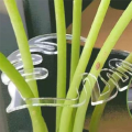 Turtle Shell Bamboo Clamp Set, Plant Stem Plastic Support,Flower-Shaped Green Plant Leaf Holder, Turtle Shell Bamboo A+B. 