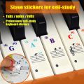 Multicolor for Beginners 88Keys for White Keys Sticker Symbol Electronic Keyboard Key Piano Stave Note Keys Sticker Piano Keyboard Stickers Note Sticker. 