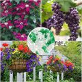 30Pcs Durable Plastic Plant Benders Growth Manipulation Plant Stem Branche Bending Low Stress Clip Garden Supplies Reuseable Plant Support Clamps. 