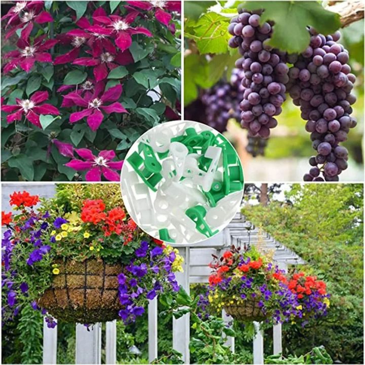 30Pcs%20Durable%20Plastic%20Plant%20Benders%20Growth%20Manipulation%20Plant%20Stem%20Branche%20Bending%20Low%20Stress%20Clip%20Garden%20Supplies%20Reuseable%20Plant%20Support%20Clamps%20-%20Image%208