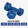 Hexagon Vinyl 2 kg Dumbbell set 2 KG x 2 Pcs | Vinyl Coated Dubbell For Home Workouts - 2KG - 1 Pair. 