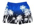 Men's Printed Swimming Shorts. 