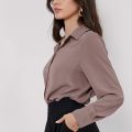 Light Brown Women's Formal Shirt Fashion Top for Office Business Casual Occasions. 