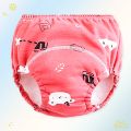 Washable Panty Diaper For Kids 4pcs. 