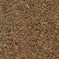 Jwano Ajwain/ Carom Seed 1 Kg. 