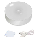 Kqueebee Night Light Motion Sensor Night Light Rechargeable Wireless LED Handheld Stick Kitchen Room Bedside Table Lighting B. 