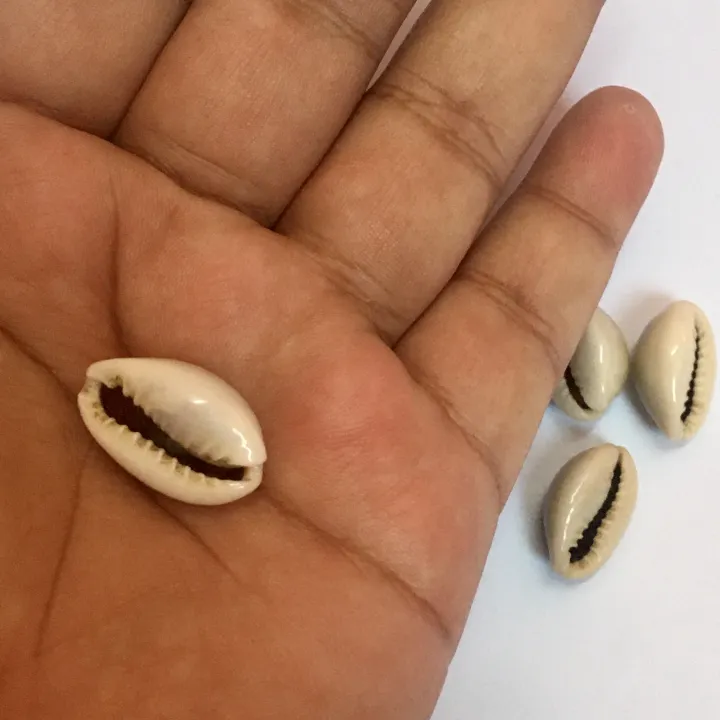 Cowrie%20Shells%20For%20DIY%20Crafts%20Jewelry%20Making.%2020%20Pieces%20-%20Image%204