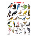 Dreamland Birds-2 Educational Wall Chart. 