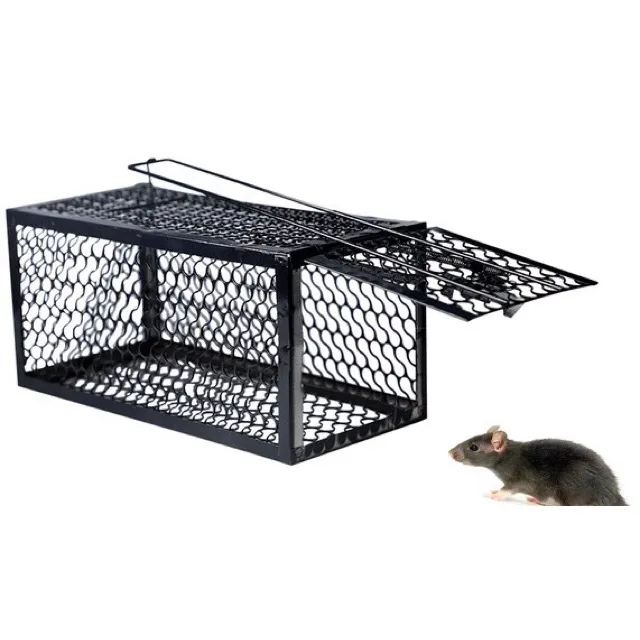Reusable%20Traditional%20Metal%20Mouse%20Trap%20Cage%20%E2%80%93%20Humane%20Live%20Catch%20Rodent%20Control%20for%20Garden%20&%20Home%20%7C%20No-Kill%20Rat%20&%20Mice%20Trap%20Cage%20%7C%20Easy-to-Use%20Reusable%20Rodent%20Catcher%20-%20Image%204