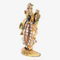 Golden Color Statue Of God Balaji. 