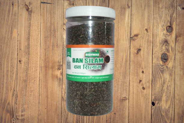 Ban%20Silam%20(also%20known%20as%20Wild%20Basil%20or%20Jungle%20Basil)%20is%20an%20aromatic%20herb%20used%20in%20traditional%20remedies%20and%20culinary%20practices,%20especially%20in%20South%20Asia%20including%20Nepal%20and%20India.200gm%20-%20Image%203