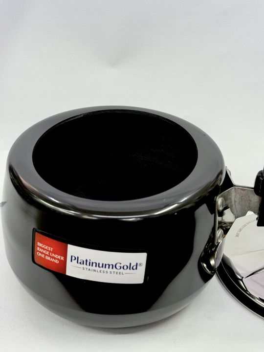 Combo%20Induction%20Stove%20and%20Black%20Cooker%20-%20Image%207
