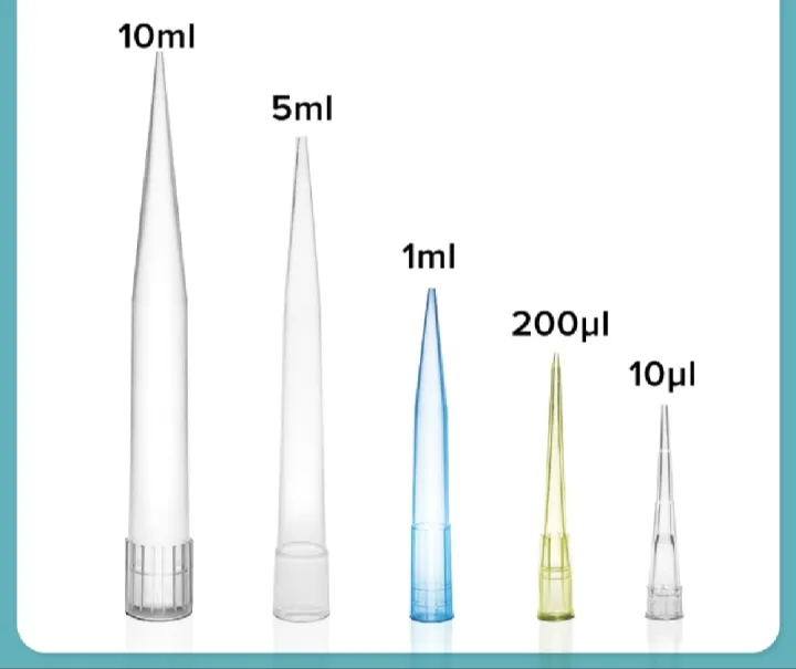 Pack%20of%20100%20Micropipette%20Tips%201000ul/Pipette%20Tips%201000ul%20-%20Graduated,%20For%20Chemical%20Laboratory(%20200-1000ul)%20-%20Image%207