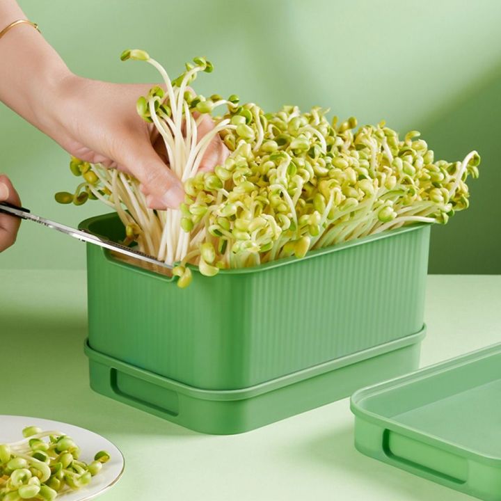 New Soilless Cultivation Sprouts Growing Tray Horticultural Tool ...