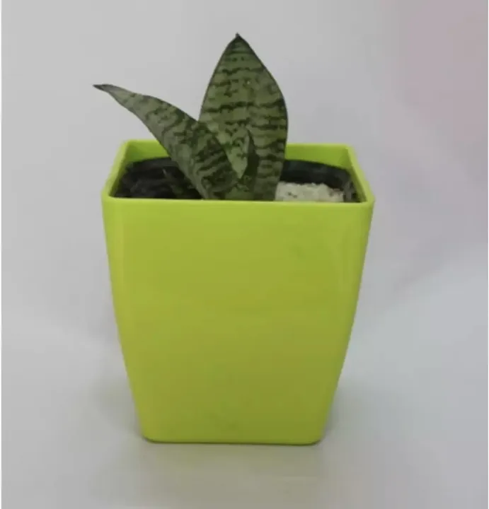 5%20Inch%20Multicolour%20Blossom%20Pot%20/%20Square%20Plant%20Pot%20/%20Planter%20For%20Decoration%20of%20Home%20Office%20Desk%20Garden%20-%205%20inch%20Indoor%20Outdoor%20Flower%20Pot%20-%20Image%202